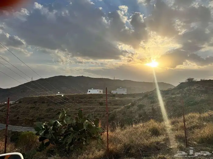 ارض زراعية 11