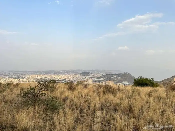 ارض زراعية 7