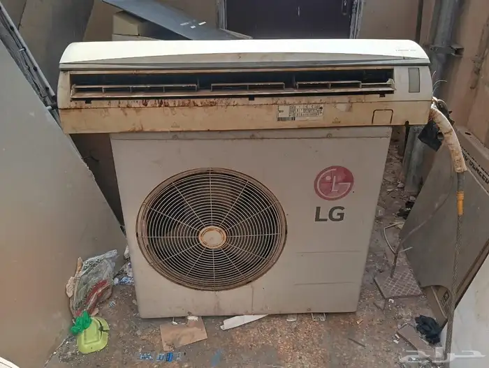 ينبع البحر 0