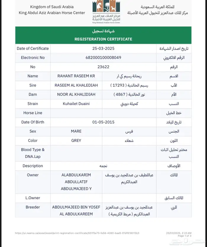 فرس واهو 4