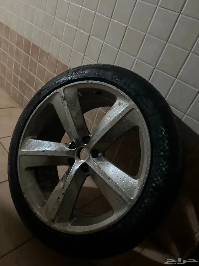 جنوط كلايزر ودوج 2