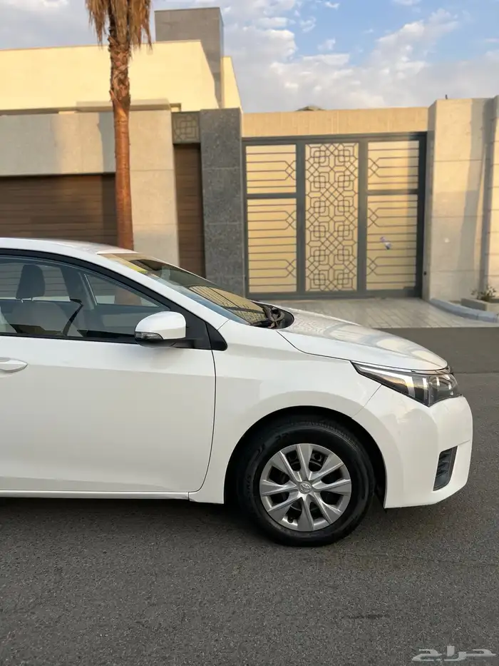 تم البيع الله يبارك للمشتري . 17