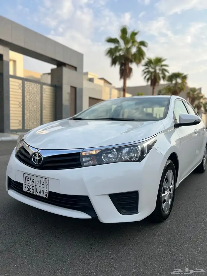 تم البيع الله يبارك للمشتري . 20