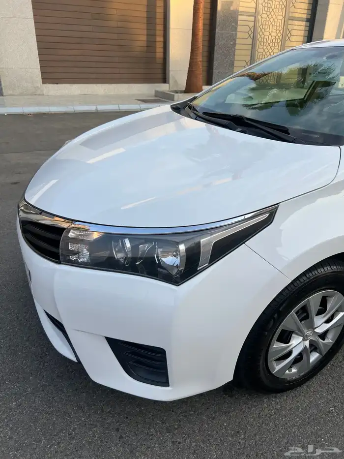 تم البيع الله يبارك للمشتري . 24