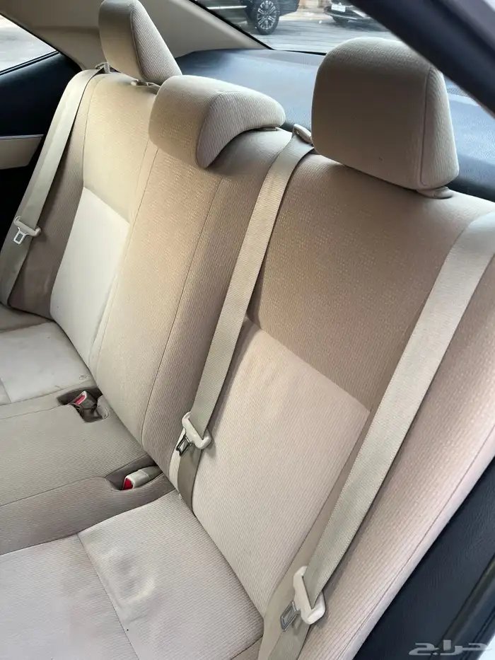 تم البيع الله يبارك للمشتري . 59