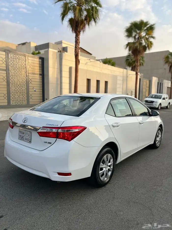 تم البيع الله يبارك للمشتري . 13