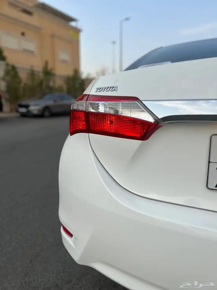 تم البيع الله يبارك للمشتري . 10