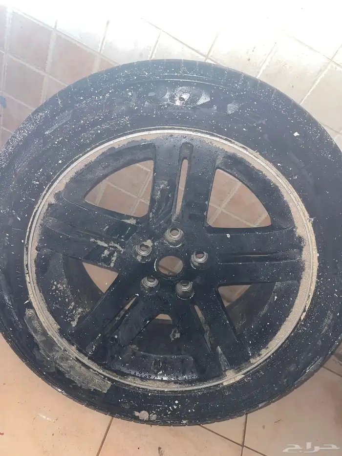 جنوط كلايزر ودوج 0