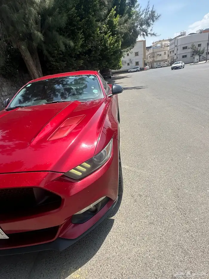 موستنج GT جاهز للمستخدم 2016 1