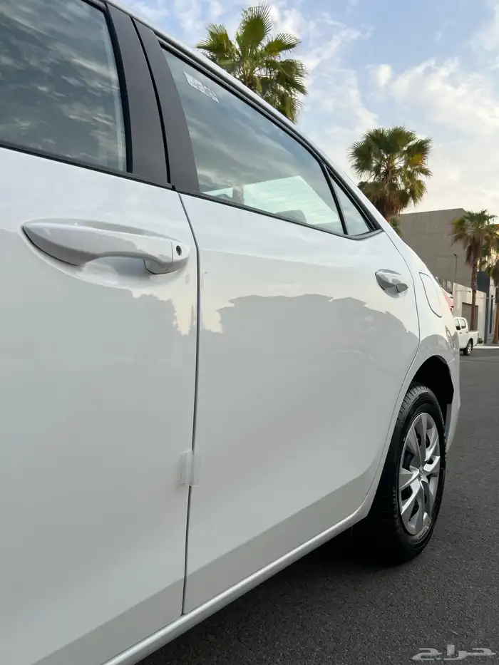 تم البيع الله يبارك للمشتري . 26