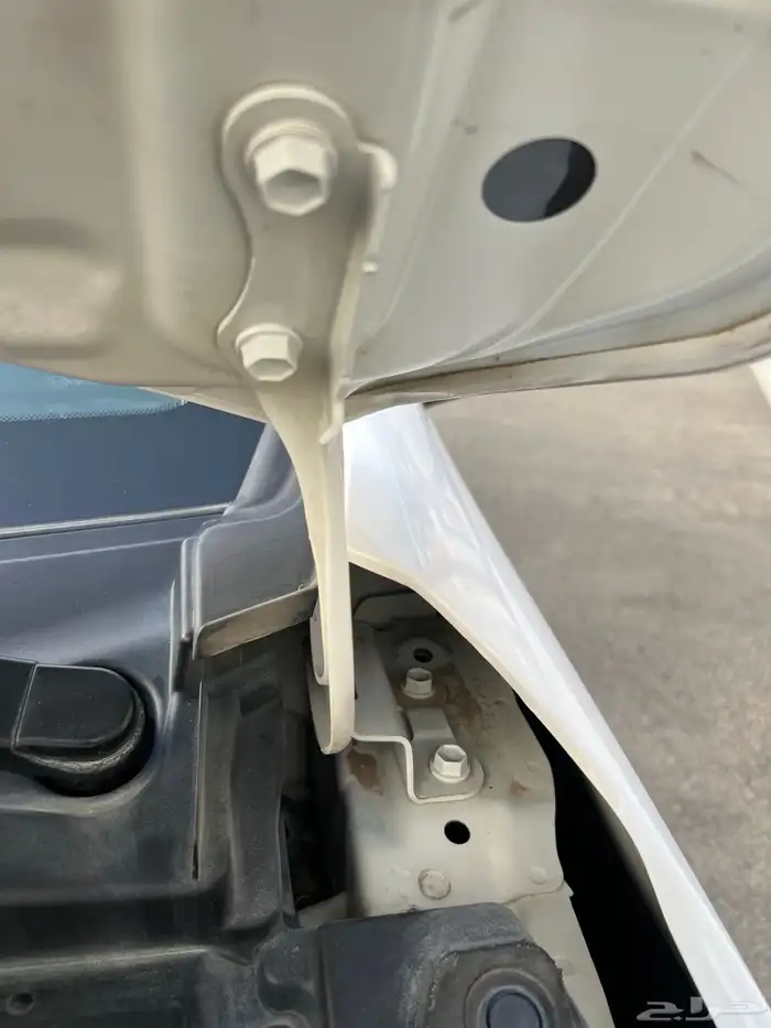 تم البيع الله يبارك للمشتري . 70