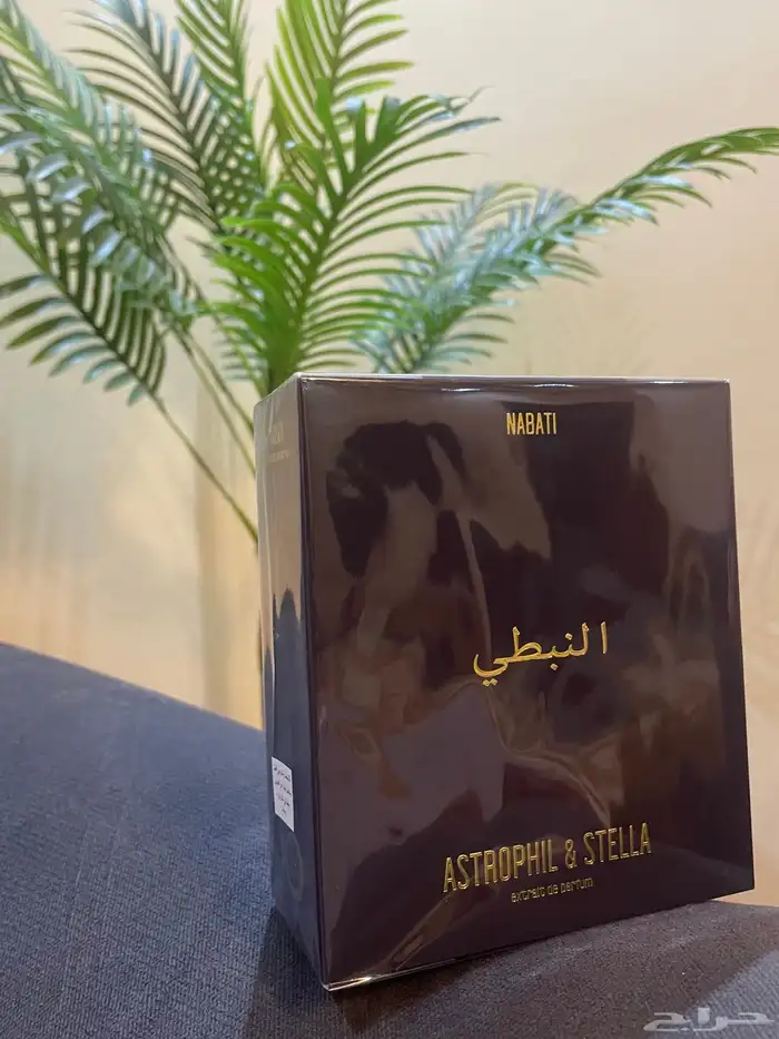 عطر أستروفيل آند ستيلا نبطي 50 مل Astrophil Stella Nabati 1