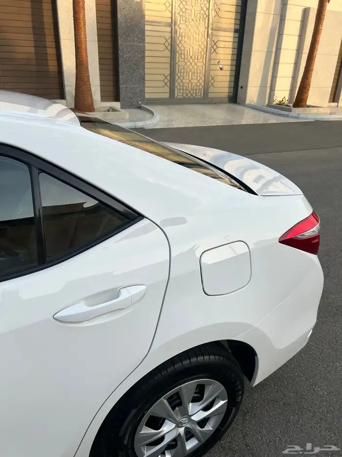 تم البيع الله يبارك للمشتري . 28