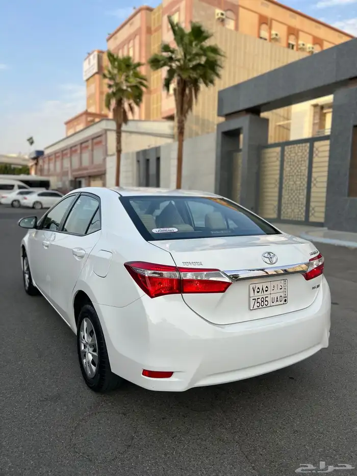 تم البيع الله يبارك للمشتري . 6