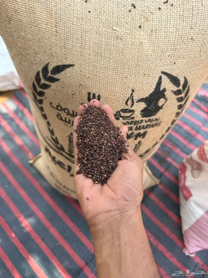 سمسم بلدي 0