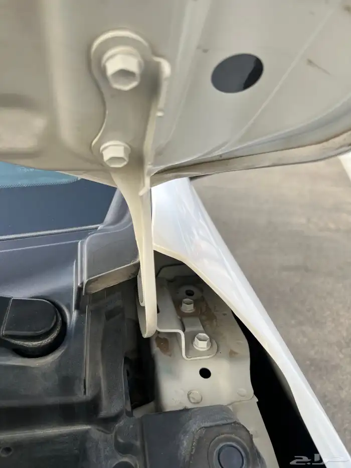 تم البيع الله يبارك للمشتري . 69