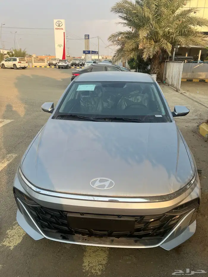 اكسنت فليت استاندر 2026 1