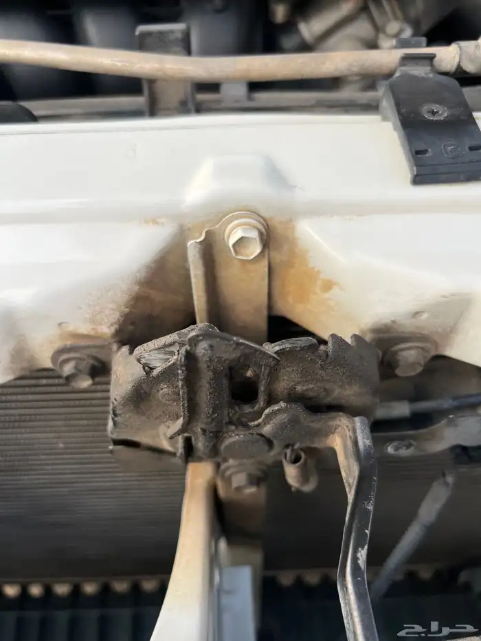 تم البيع الله يبارك للمشتري . 71