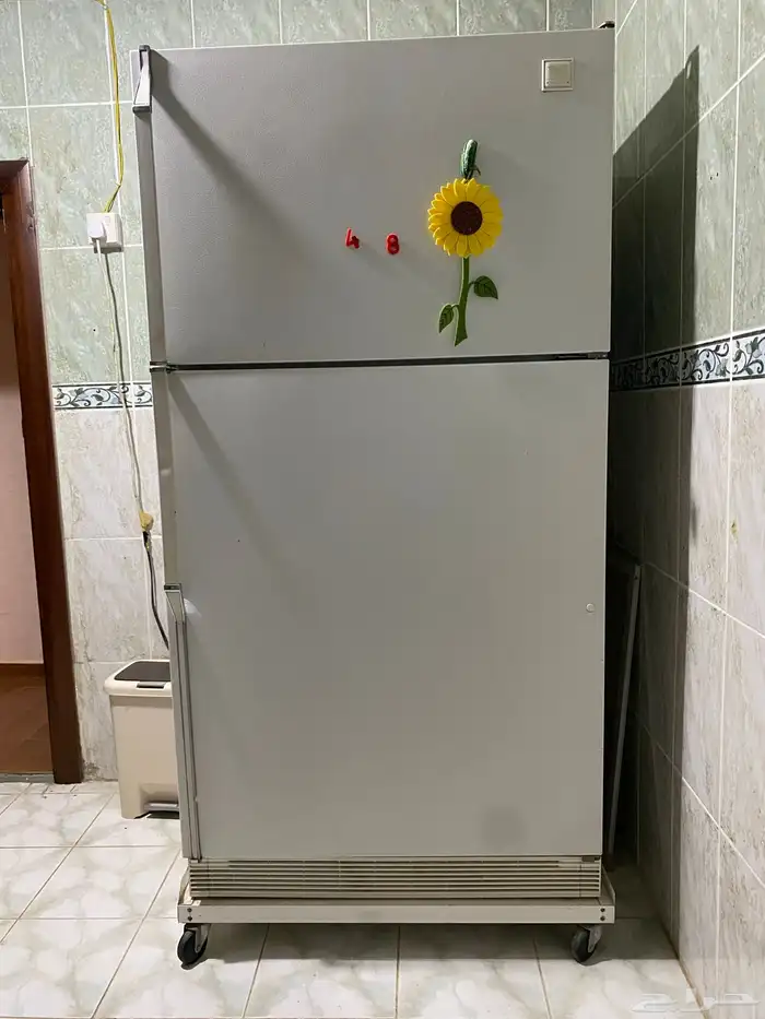 ثلاجه كبيره 0