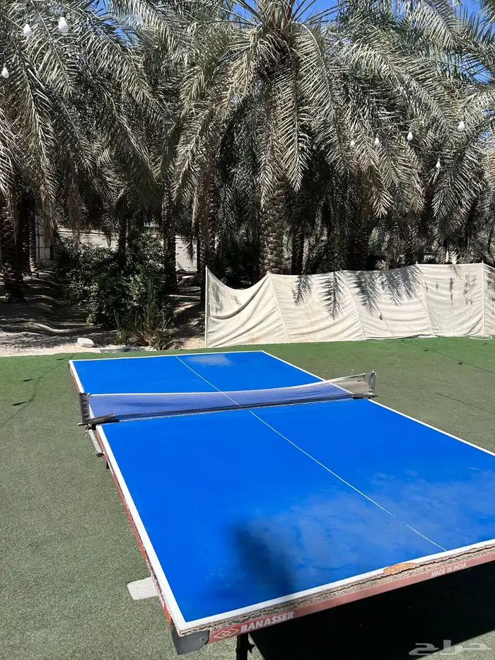 تنس   و فيشه و بلياردو 8