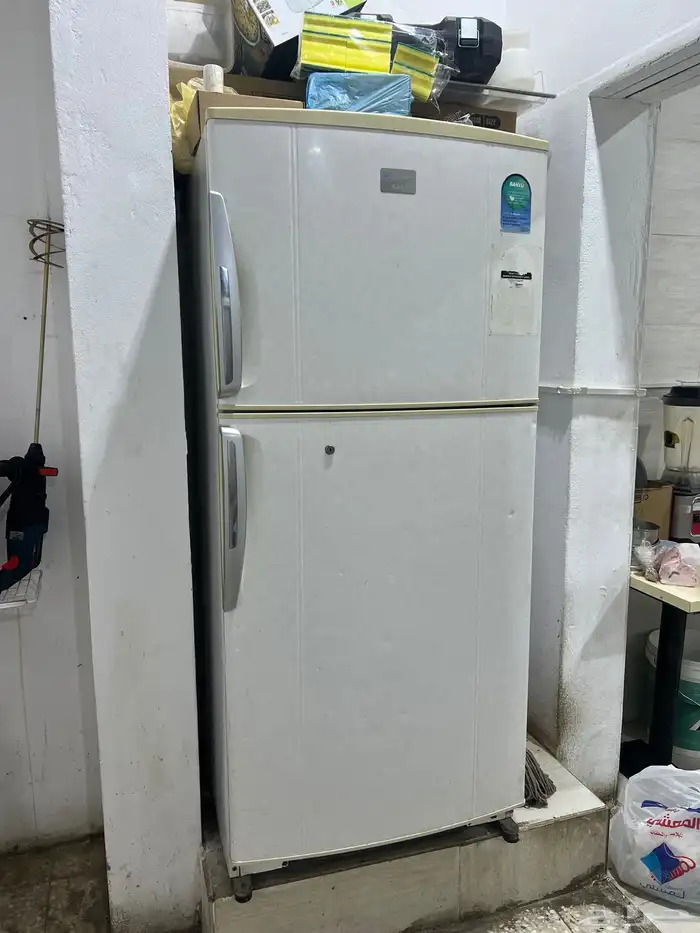 محل تميس للتقبيل بسعر مغري 9