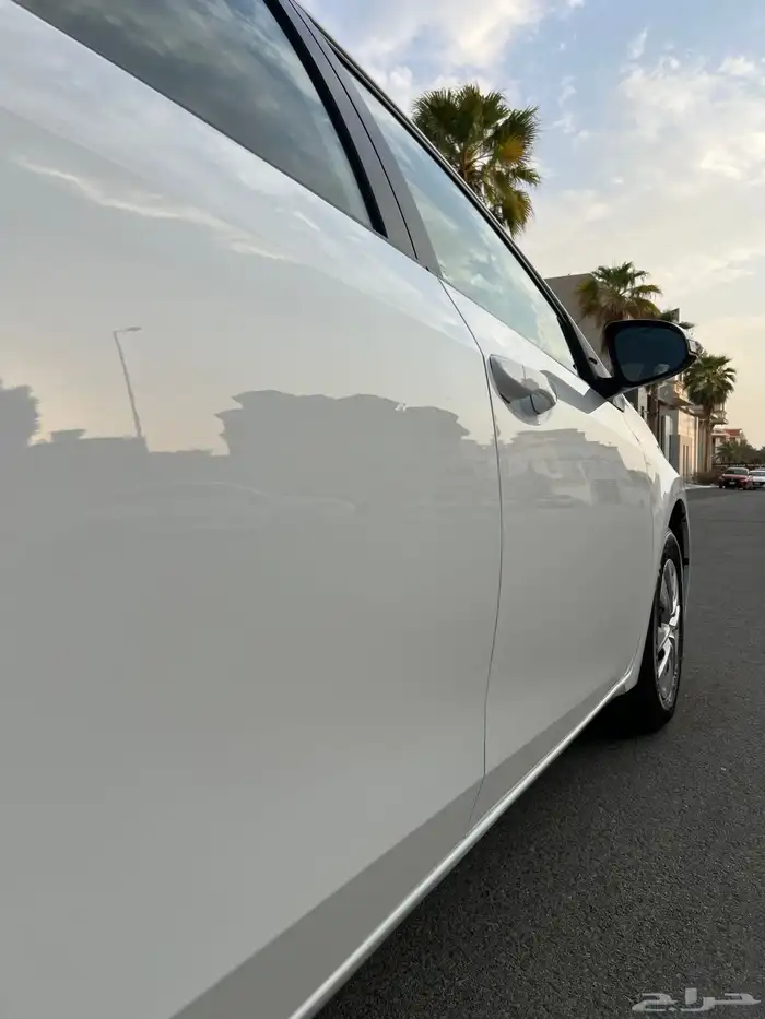 تم البيع الله يبارك للمشتري . 54