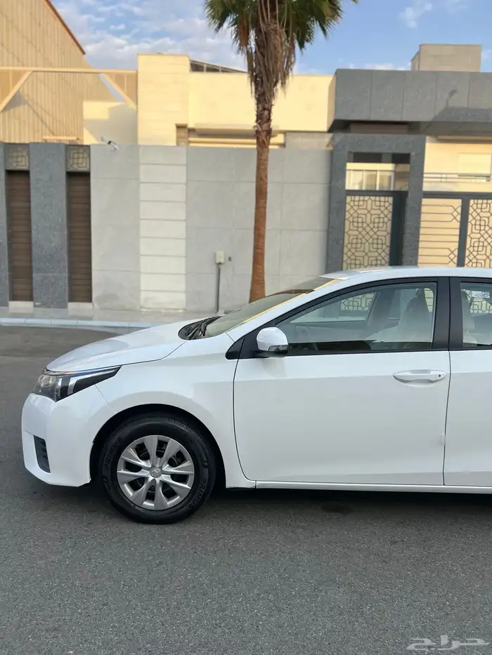 تم البيع الله يبارك للمشتري . 2