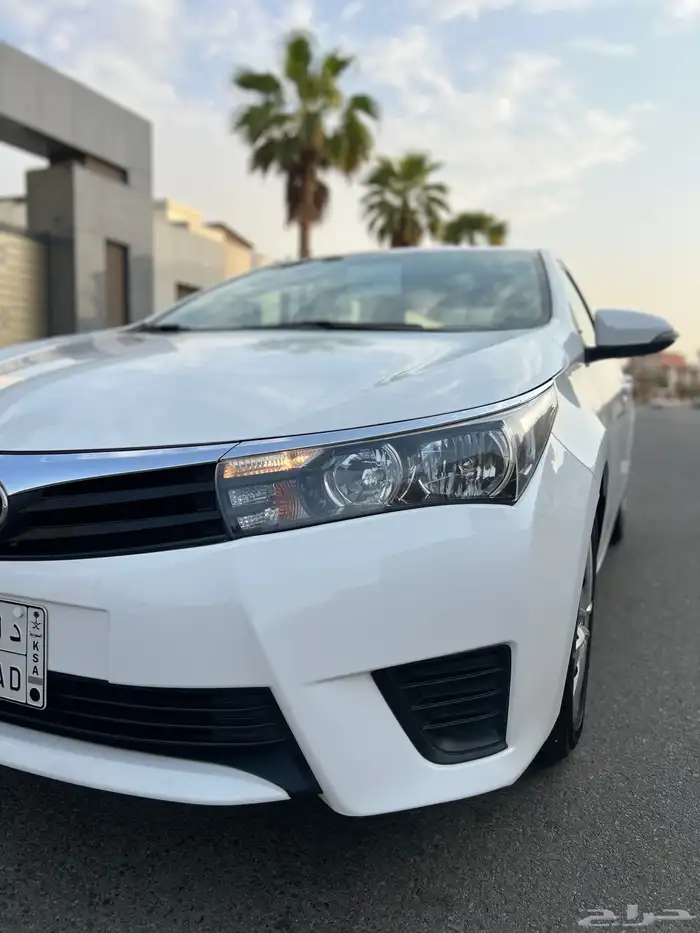 تم البيع الله يبارك للمشتري . 21