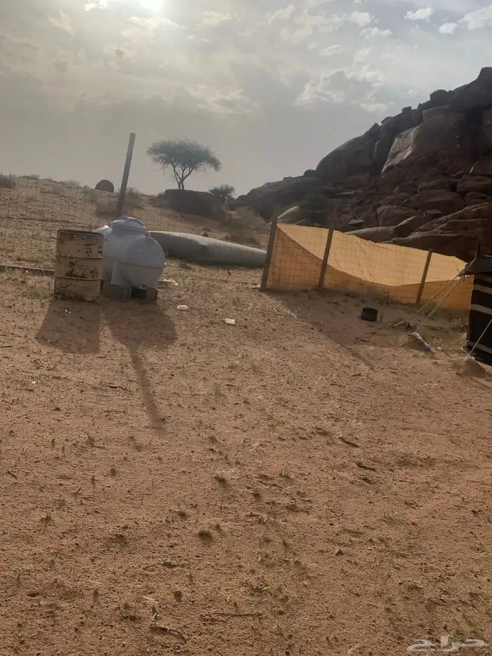 مخيم 1