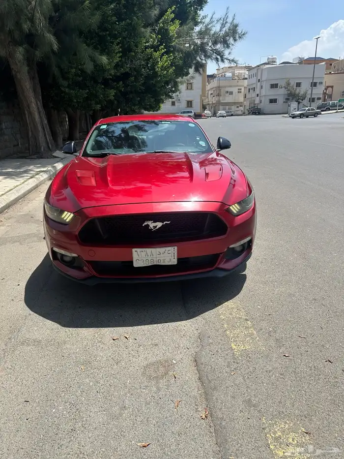 موستنج GT جاهز للمستخدم 2016 0
