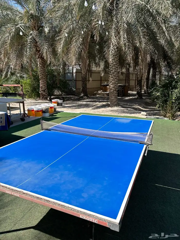 تنس   و فيشه و بلياردو 6