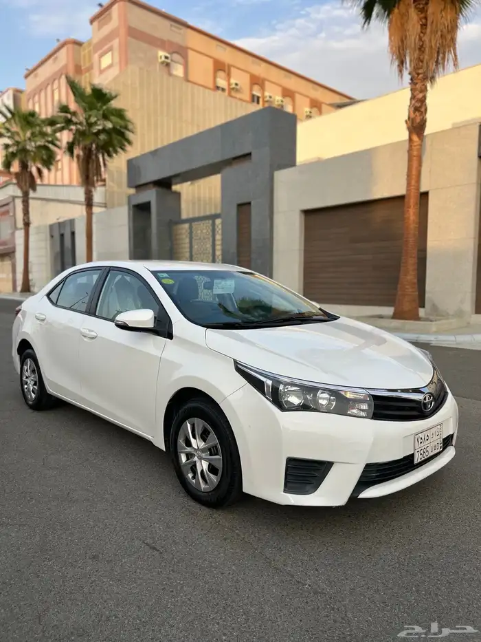 تم البيع الله يبارك للمشتري . 19