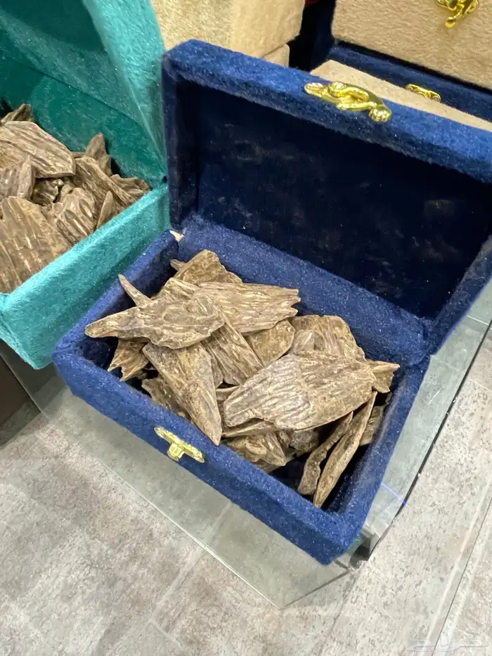 عود كلمتان طبيعي محسن العود الأزرق 4