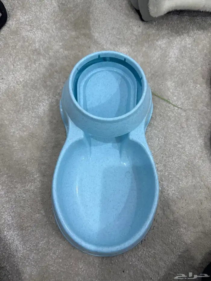 اغراض قطط 2