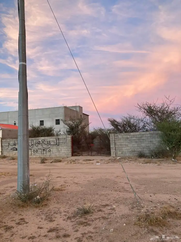 حوش بالعرفاء 2