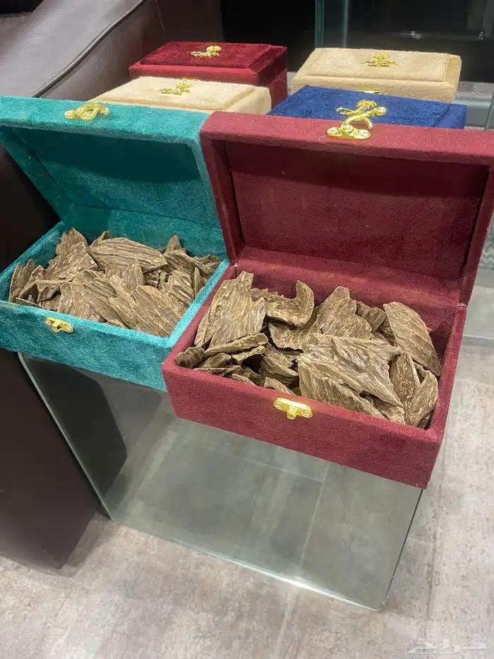 عود كلمتان طبيعي محسن العود الأزرق 2