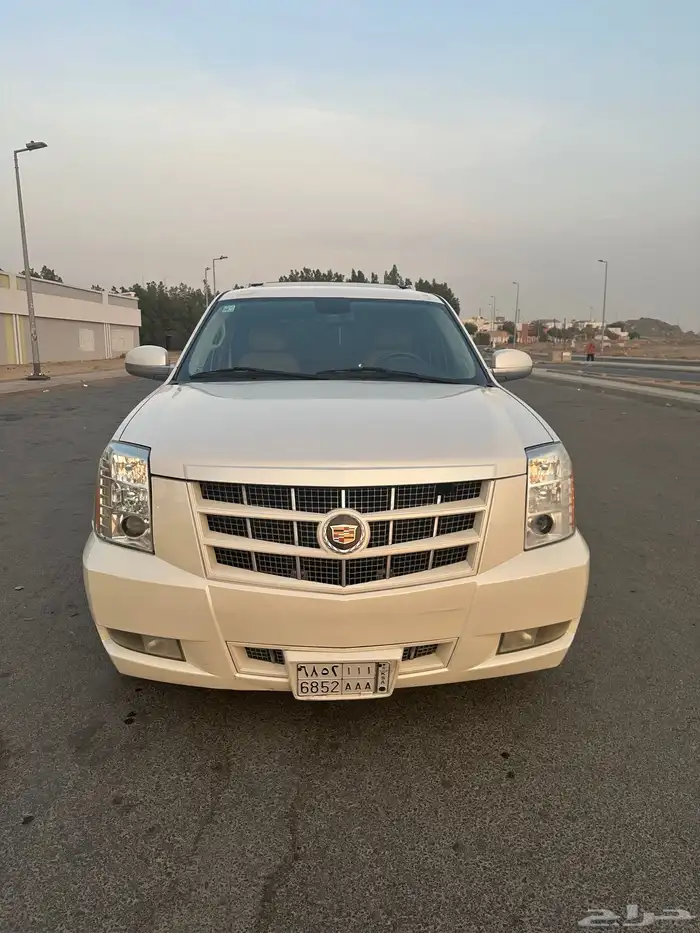 كدلك اسكاليد قصير 2013 0
