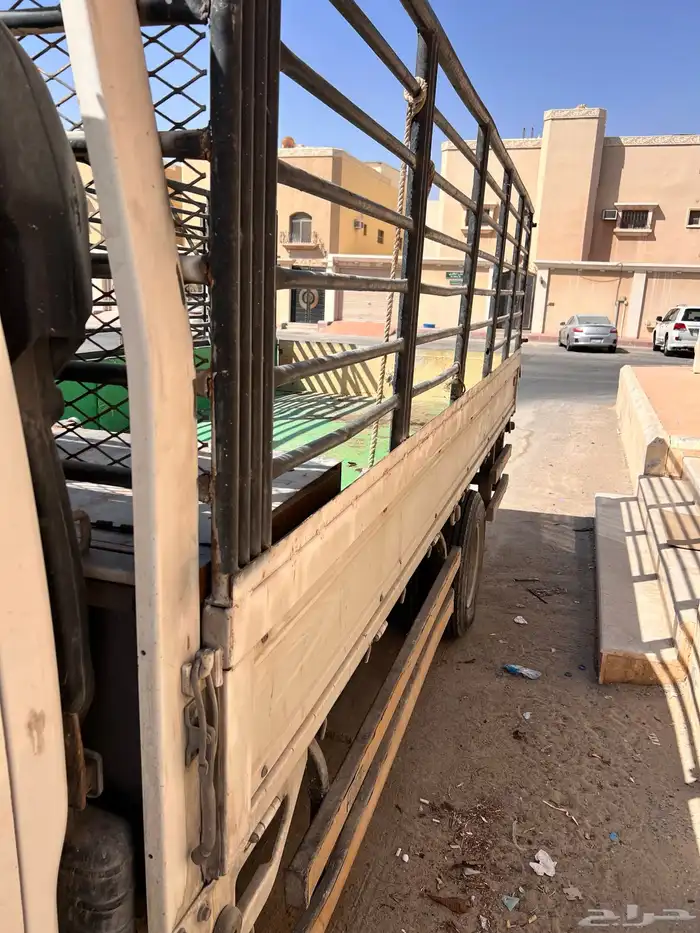 دينا ايسوزو 2008 2