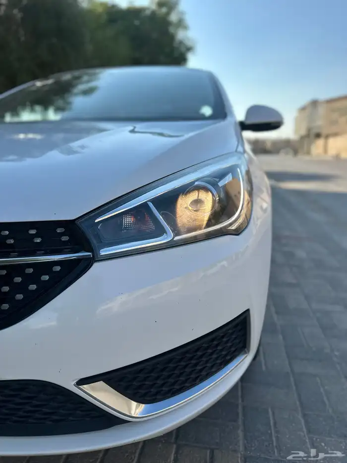شيري اريزو 5 2023 16