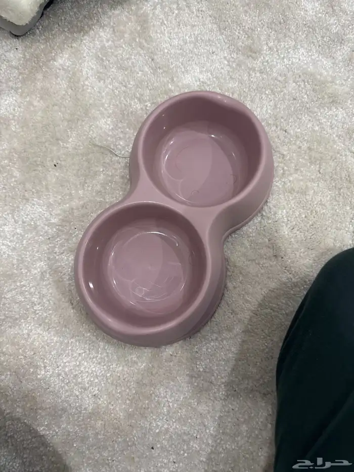 اغراض قطط 1