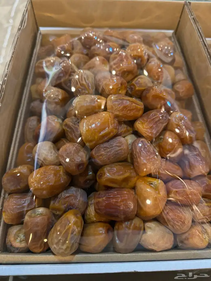 سكري مفتل درجه اولى 0