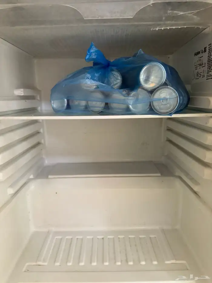 الموقع القطيف 4