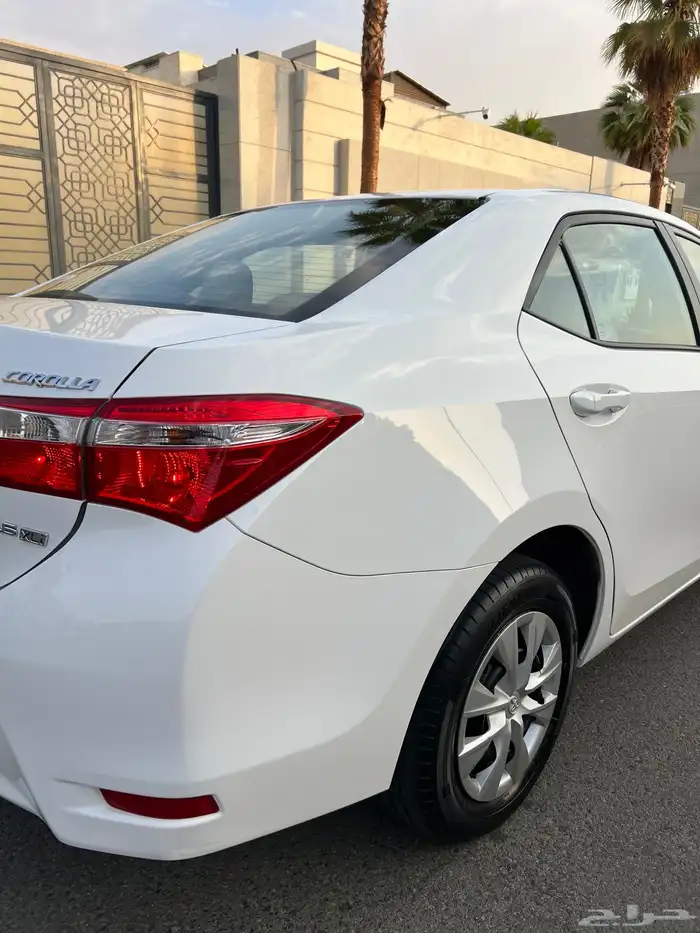 تم البيع الله يبارك للمشتري . 52