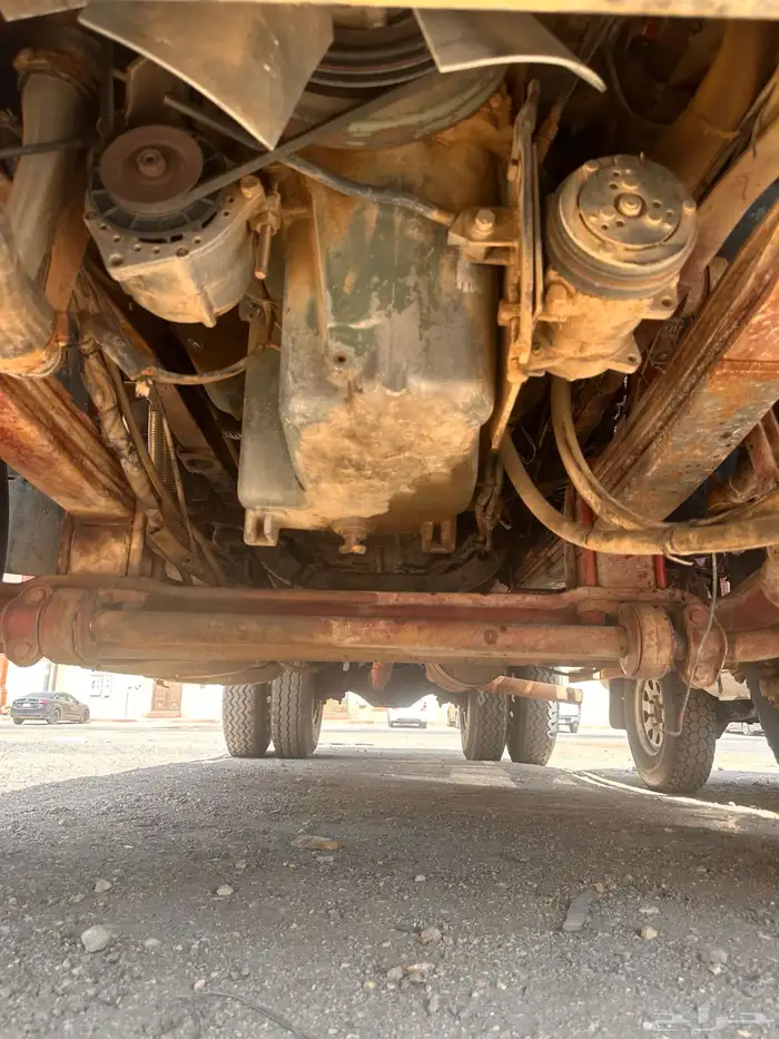 وايت البي 19