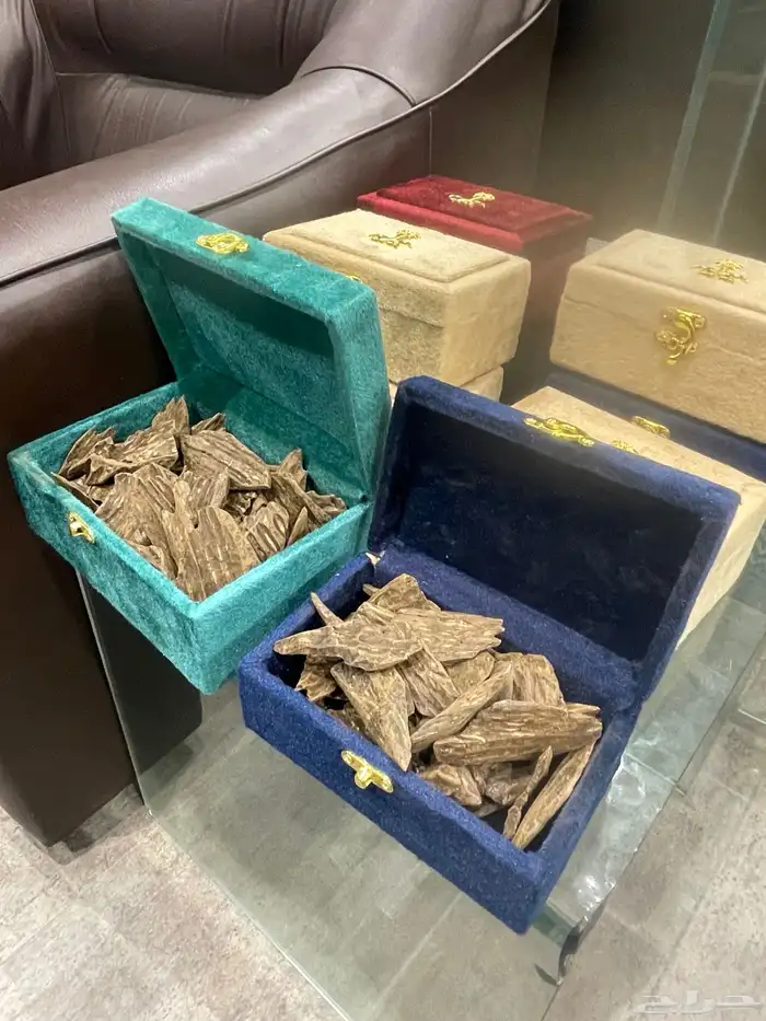 عود كلمتان طبيعي محسن العود الأزرق 3