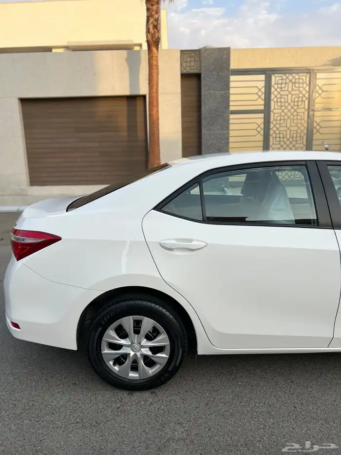 تم البيع الله يبارك للمشتري . 15