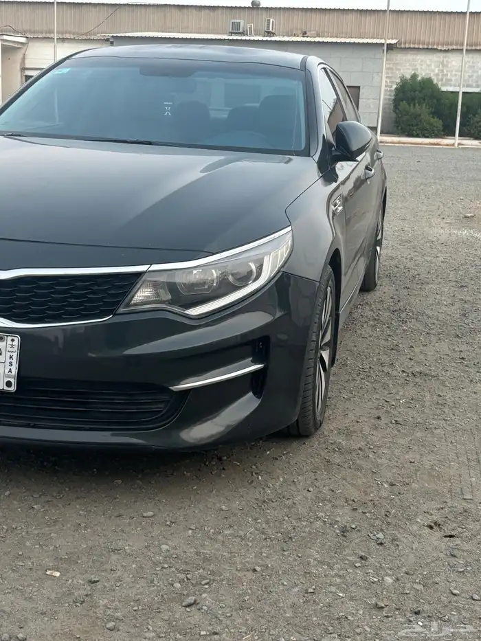 اوبتيما 2017 14