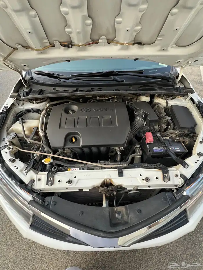 تم البيع الله يبارك للمشتري . 73