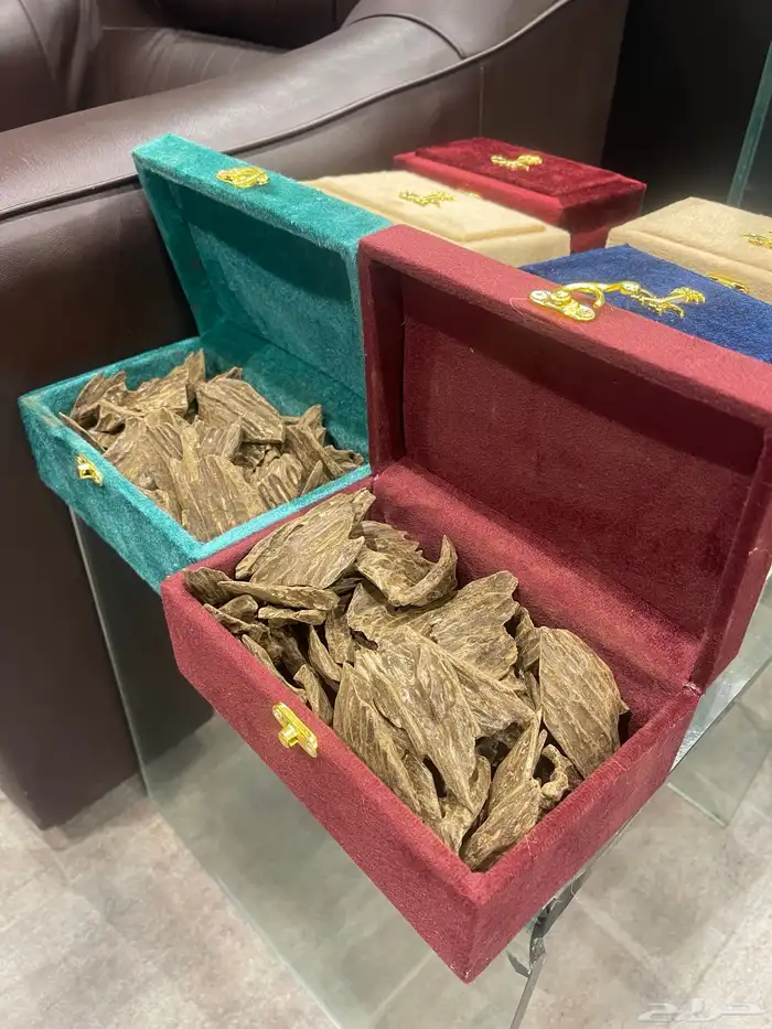 عود كلمتان طبيعي محسن العود الأزرق 6