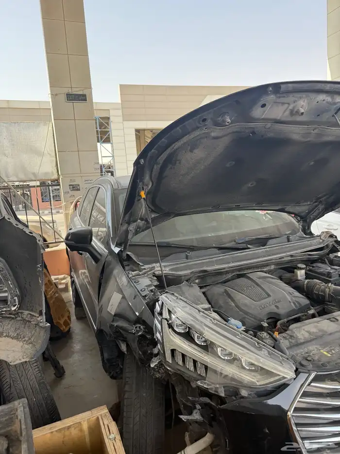 هافال جوليان 2022 5